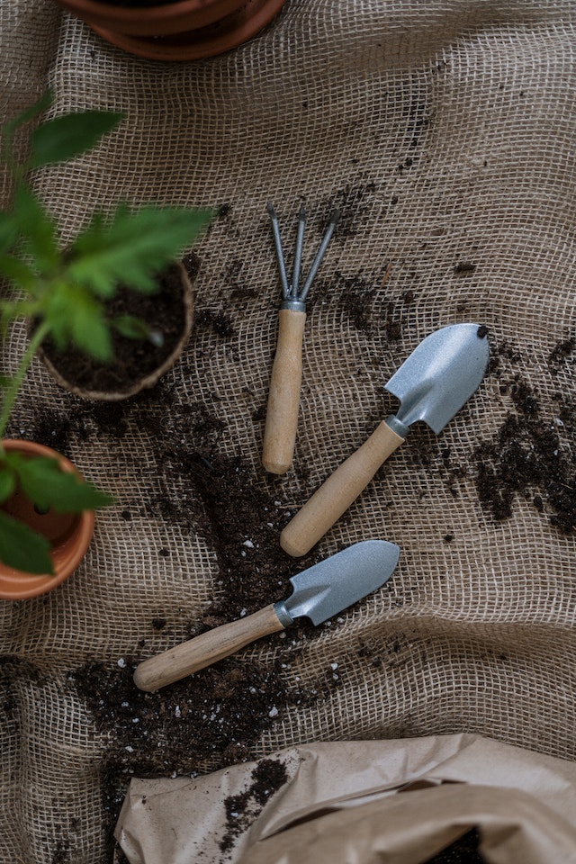 La jardinería es una actividad gratificante que te permite conectar con la naturaleza y embellecer tu hogar.