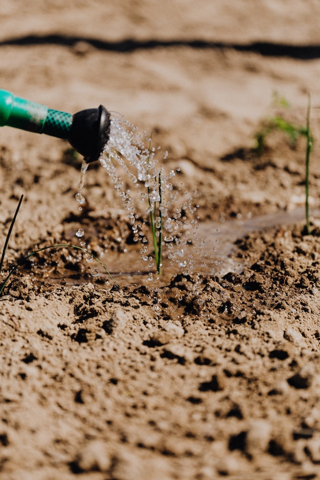 La jardinería es una actividad gratificante que te permite conectar con la naturaleza y embellecer tu hogar.