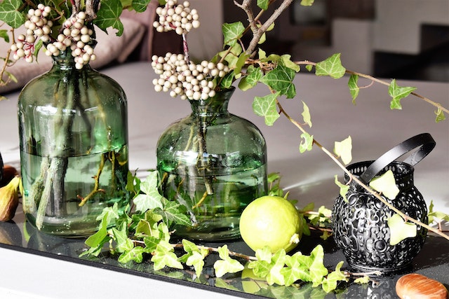 Cuidar plantas de interior.