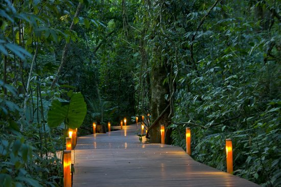 La iluminación exterior es un aspecto esencial para realzar la belleza de tu hogar y crear un ambiente acogedor.
