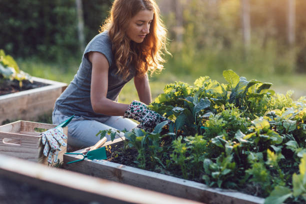 El jardín orgánico es una forma de cultivar plantas sin usar productos químicos sintéticos, se basa en el respeto por la naturaleza.
