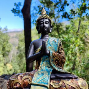 Estatua de Buda meditativo en Anjali mudra